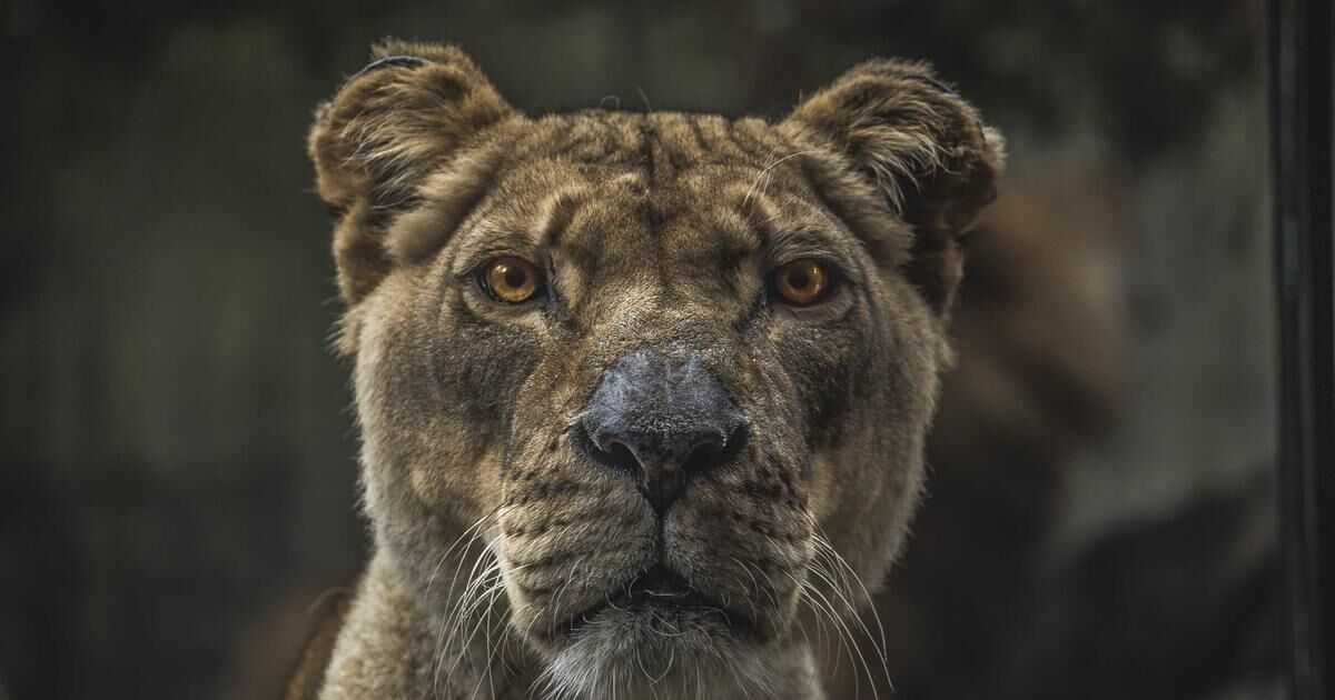 什么是八字命理